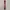 Vintage Luxury Pria red gray photo 3
