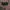 Vintage Luxury Pria red gray photo 7