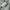 Bomber jacket codes combine mens  uk S photo 7