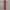Vintage Luxury Pria purple burgundy photo 2