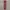Vintage Luxury Pria Purple Burgundy