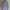 Dickies Casual Sweater Pria gray photo 1
