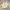 NIKE AIR JORDAN 4 x Off - White Sail photo 3