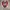 NIKE AIR JORDAN 4 VALENTINES DAY TRUE BERRY PINK photo 2