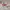 Polham Futurist Sweater Pria red gray photo 3