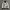 PPFM Y2K Avant Garde Track jacket Pria white black photo 3