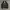 PPFM Y2K Avant Garde Track jacket Pria white black photo 1