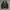 PPFM Y2K Avant Garde Track Jacket Pria White Black
