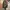 Streetwear Y2K Bomber jacket Pria green photo 6