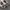 Veja Sneakers Woman photo 3