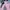 Columbia Titanium (1 Set) Pink Outdoor Jacket Original photo 3