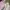 Columbia Titanium (1 Set) Pink Outdoor Jacket Original photo 4