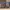 LEGO Creator Expert Detective's Office - COLLECTOR ITEM   photo 1