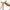 Pattero Vintage Y2K Hobo bag Wanita tan brown photo 2