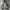 TOPTEN Sherpa Zip Hoodie  photo 6