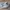 New Balance Indie Casual Sneakers Pria white black photo 1
