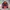 Millet Expert Series Outdoor Jacket photo 9
