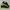 Nike Lunarfly 3 Shield Mens Style photo 1