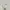 ZIP HOODIE GAP SPELLOUT 