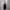 LIQUID GIRL SKULL OUTER photo 3