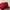 Nike Air Jordan Casual Bag Pria red photo 4