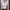 slim fit v neck lengan panjang photo 3