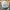 topi new era x nba build up photo 1