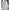 Executive Minimalist Formal Shirt Pria White