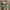 Nike dunk low x off white pine Green photo 2