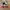 nike air jordan 1 mid  photo 1