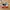 nike air jordan low photo 1