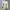 Celana Pendek / Jorts carpenter Diki x Sherwin William photo 2