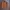 Vintage Y2K Harrington jacket Pria brown photo 1