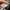 Salomon Gorpcore Casual Sneakers Pria tan gray photo 8