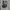 Jorts pants makaveli tupac photo 5