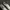 Adidas Indie Casual Sneakers Pria white gray photo 4