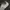 Adidas Indie Casual Sneakers Pria white gray photo 5