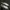 Adidas Indie Casual Sneakers Pria white gray photo 3