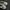 Adidas Indie Casual Sneakers Pria white gray photo 6