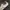 Adidas Indie Casual Sneakers Pria white tan photo 5