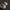 Adidas Indie Casual Sneakers Pria white tan photo 6