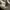 Adidas Indie Casual Sneakers Pria white tan photo 8