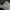 Adidas Indie Casual Sneakers Pria white tan photo 2