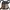 Mini Backpack ADIDAS X PHARRELL WILLIAMS Camo Y2K Vintage photo 4