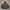 Uniqlo Streetwear Skater Hoody Pria brown photo 2