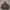 Uniqlo Streetwear Skater Hoody Pria brown photo 3