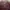 Converse Streetwear Sportswear Hoody Pria burgundy photo 4
