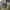 Y2K RED PEPPER OLIVE STUDED photo 6