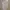 Uniqlo Vintage Luxury Baju bayi Kids white green photo 3