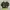 Y2K Sweatshirt Pria green black photo 5